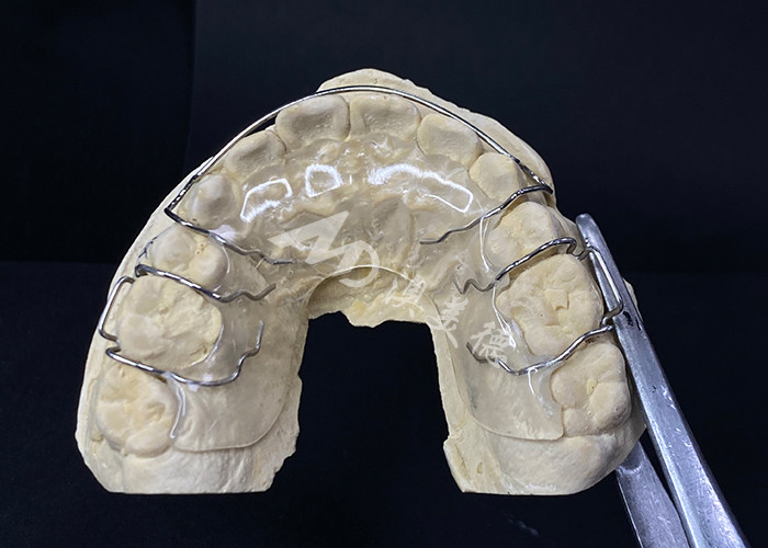 Confortevole da indossare il conservatore Hawley dell'AMD Dental Lab per un'ortodonzia sicura e sana