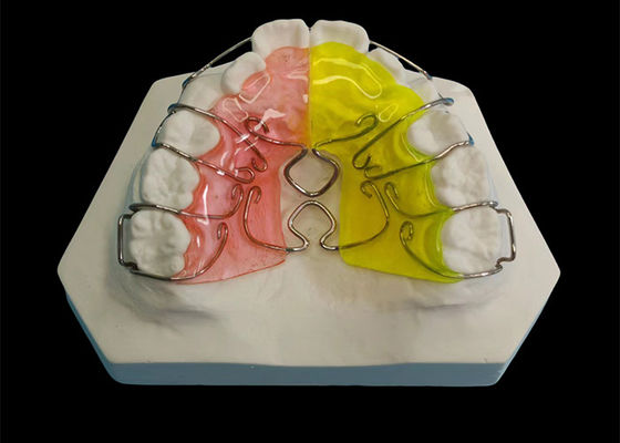Buon prezzo Apparecchi Ortodontici Regolabili su Misura clinicamente provati per l'allineamento dei denti In linea