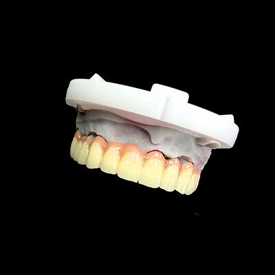 Buon prezzo Corona Dentale in Porcellana di Zirconia CAD/CAM Precisione Finitura Estetica dall'Aspetto Naturale Certificata ISO13485 In linea